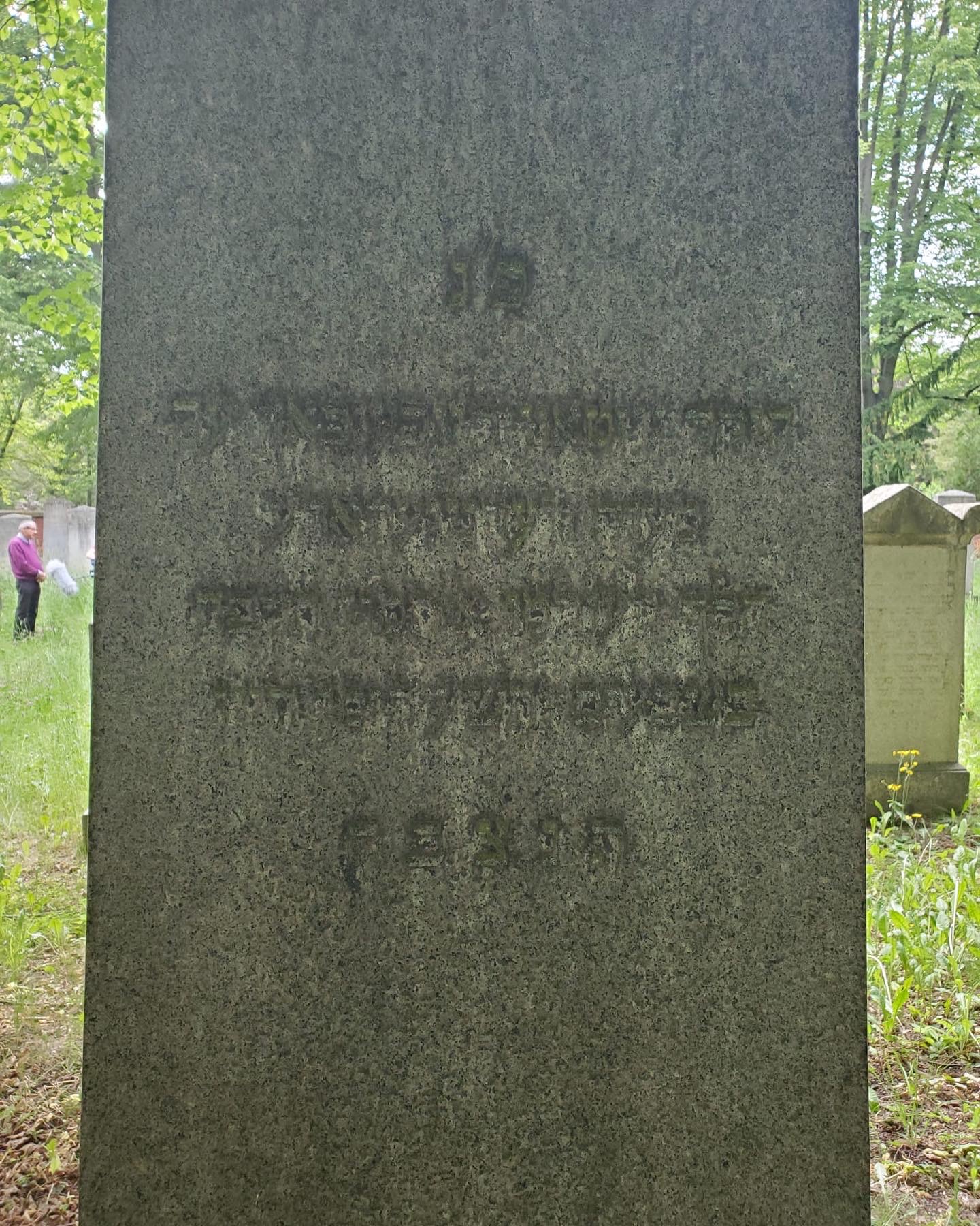 Tall weathered gravestone with a faint Hebrew inscription in the Jewish cemetery at Halberstadt